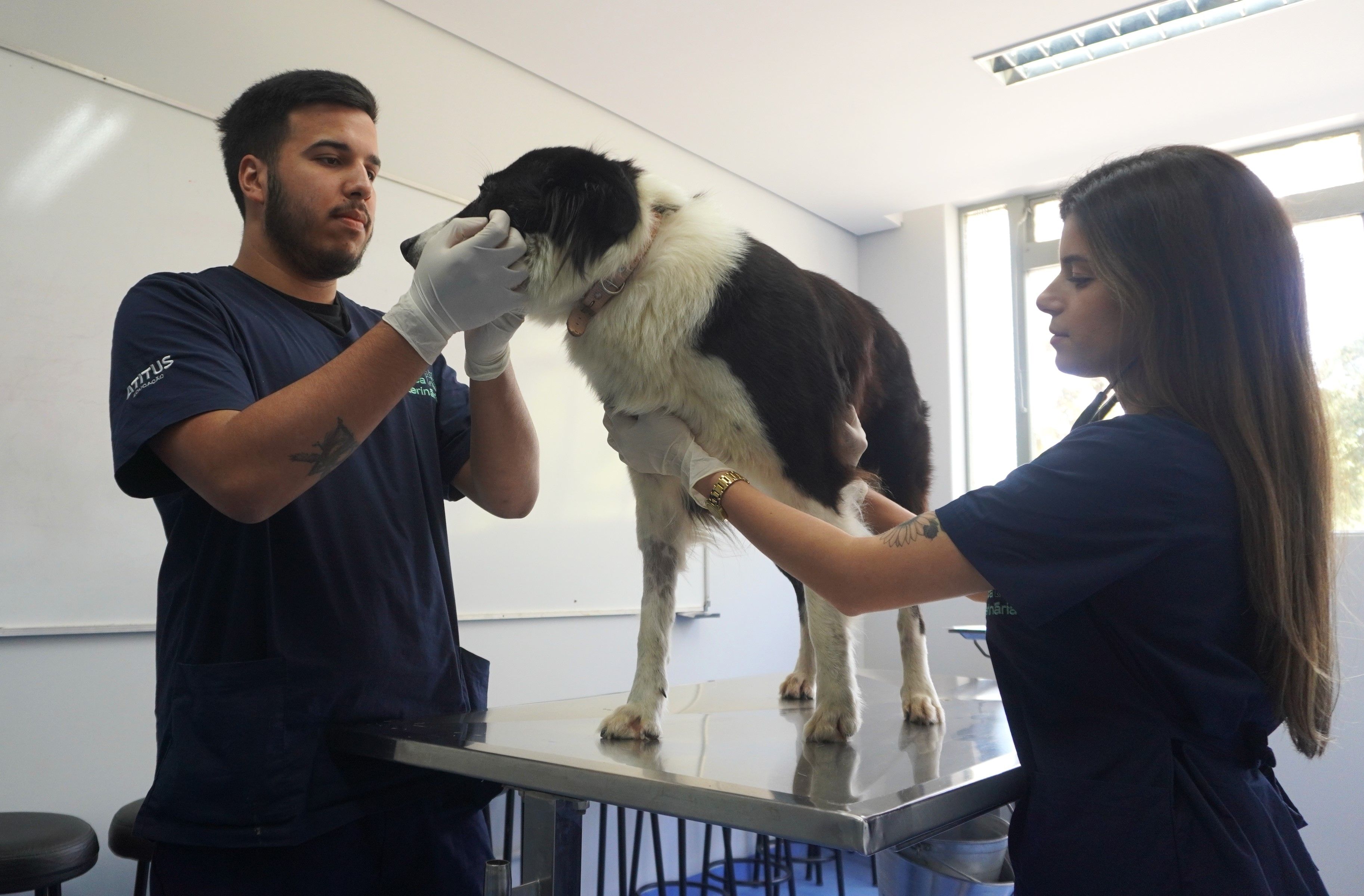 Estrutura moderna e consultas com especialistas são diferenciais da Clínica Veterinária da Atitus