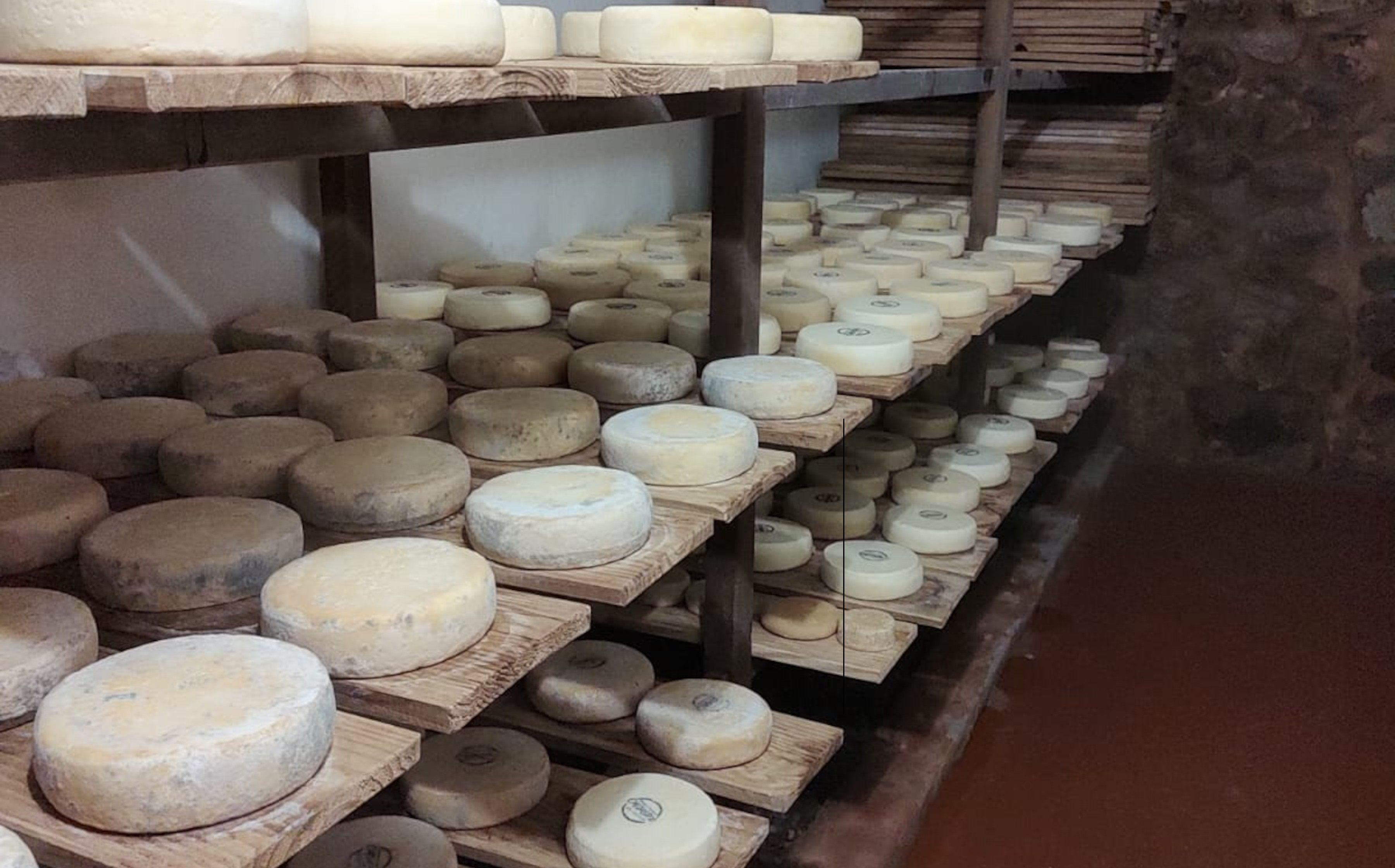 Pesquisa sobre sustentabilidade e a produção do queijo canastra é realizada em Minas Gerais