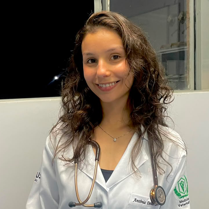 Antônia Deitos Castro