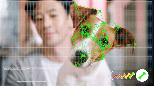 Como a tecnologia está revolucionando as interações entre seres humanos e animais