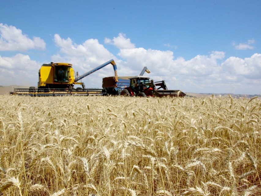 Atitus realiza palestras sobre agronegócio na Frinape 2022