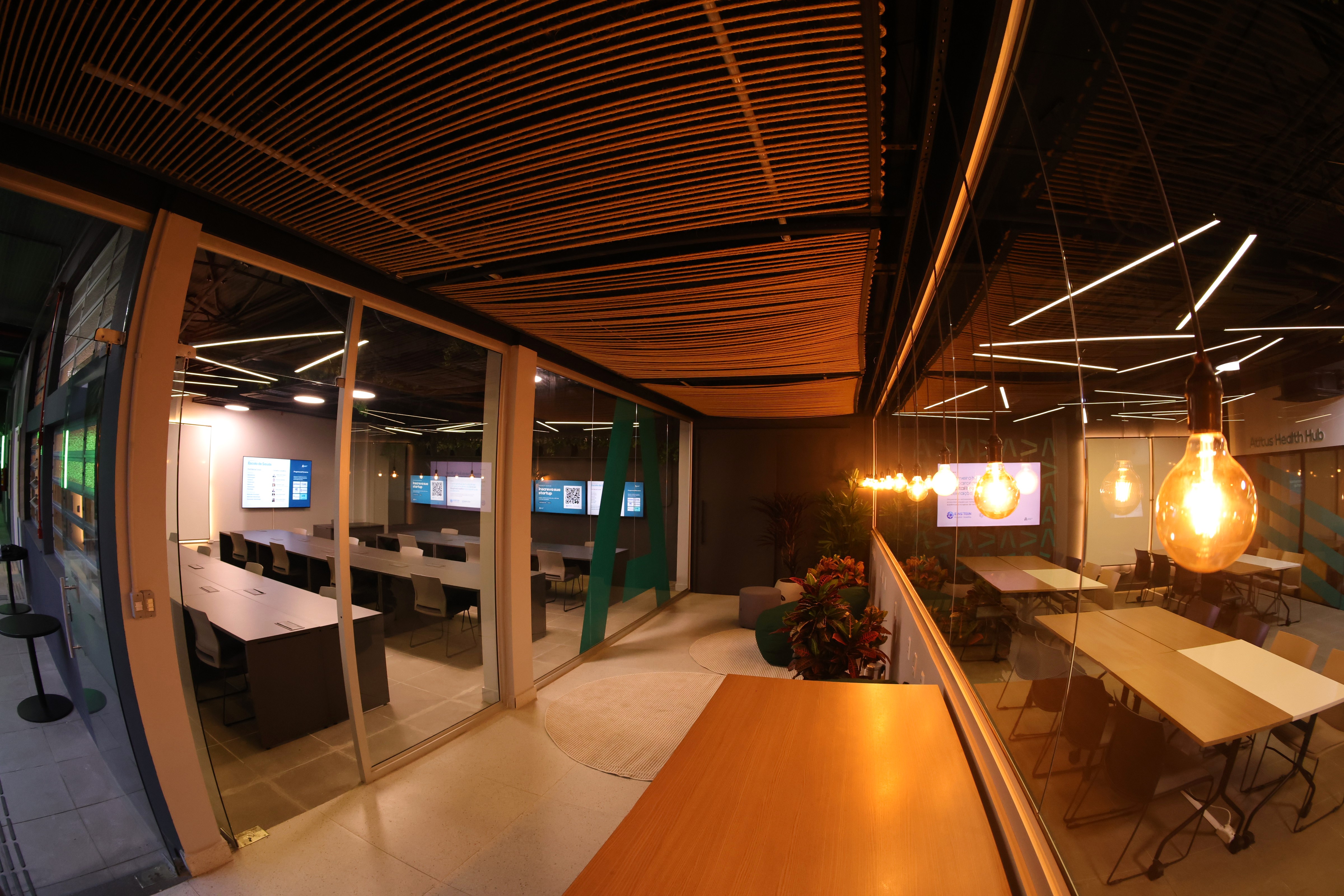 BORD6250.JPG
