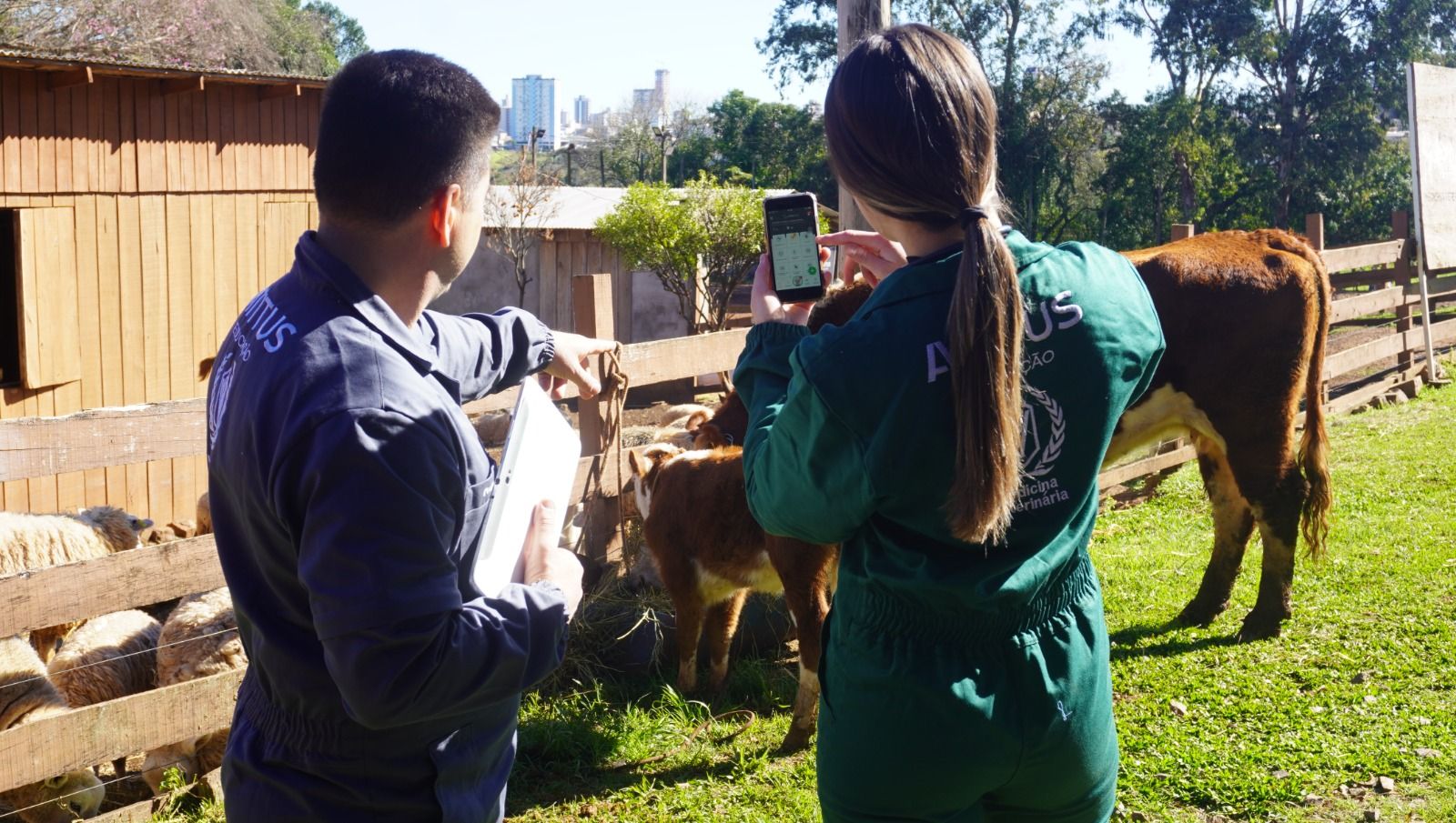 Um novo ecossistema de educação e inovação para o agronegócio brasileiro