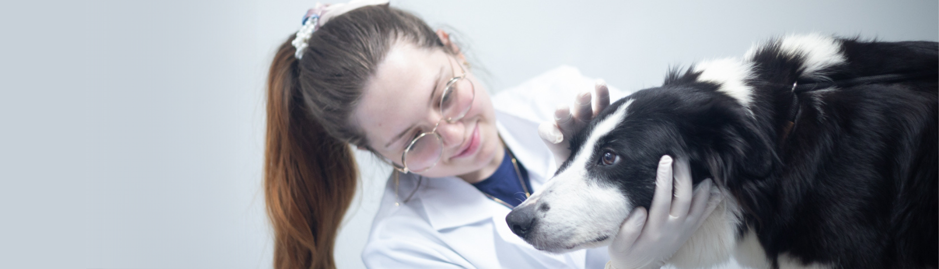 Banner Clínica Veterinária