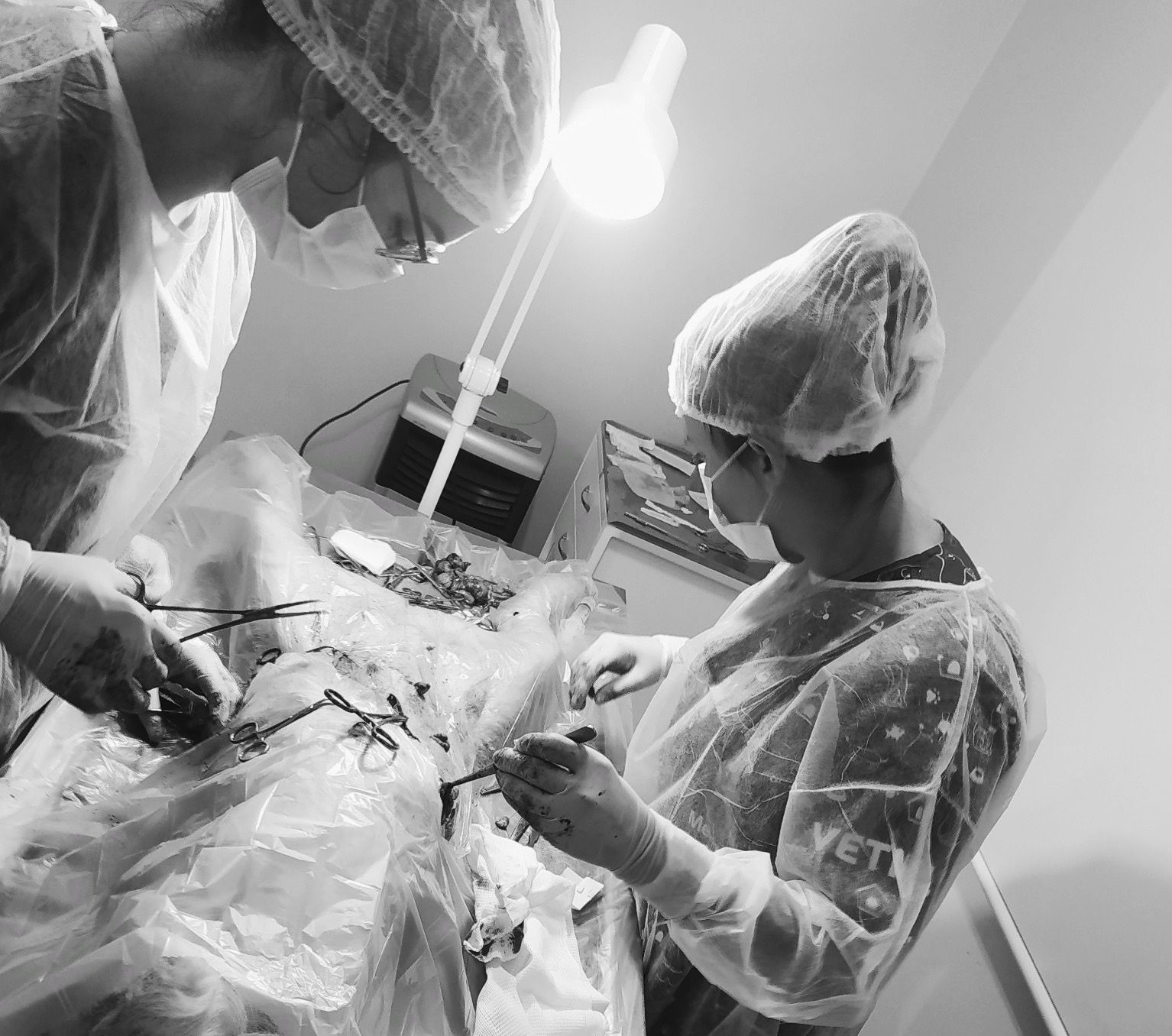 Estagiando: paixão transformada em profissão